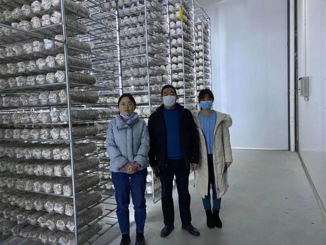 ͷ�����(�й�)Ψһ�ٷ���վ