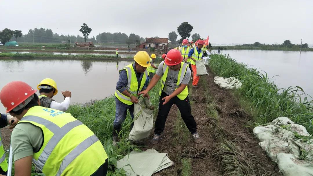 ͷ�����(�й�)Ψһ�ٷ���վ