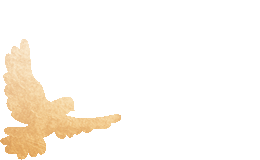 ͷ�����(�й�)Ψһ�ٷ���վ