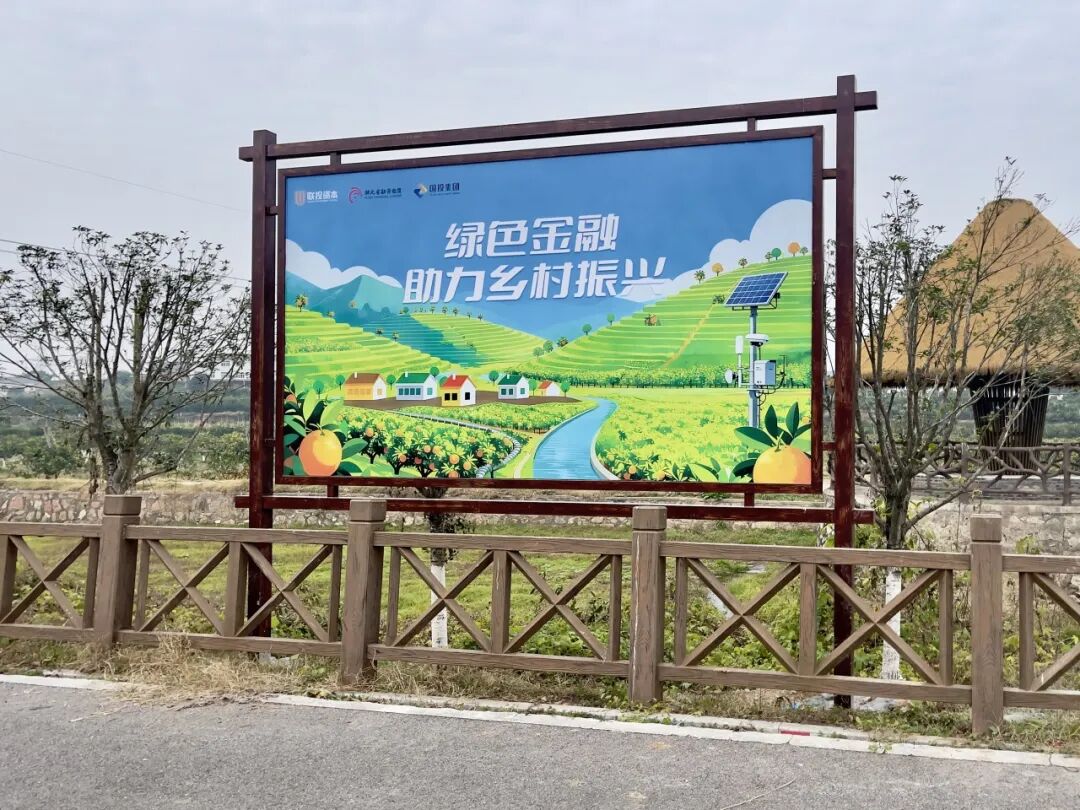 ͷ�����(�й�)Ψһ�ٷ���վ