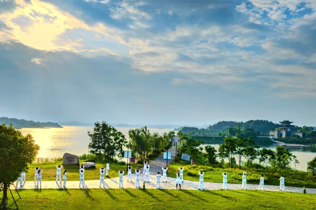 ͷ�����(�й�)Ψһ�ٷ���վ