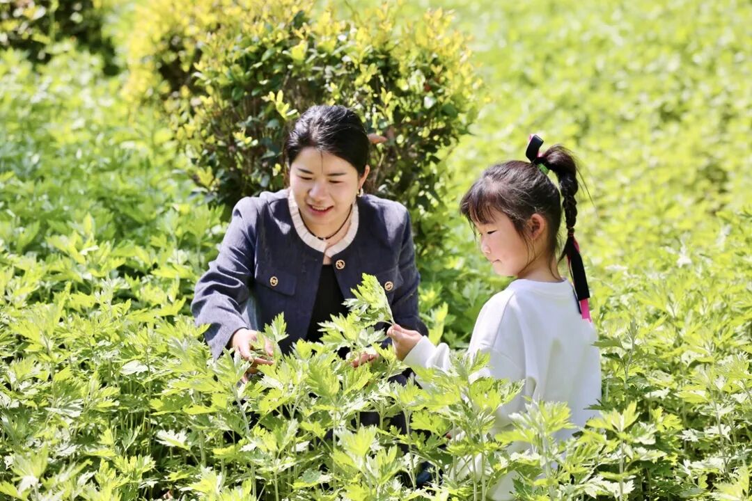 ͷ�����(�й�)Ψһ�ٷ���վ