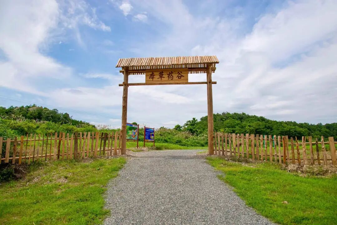 Í·ºÅÍæ¼Ò(Öйú)Ψһ¹Ù·½ÍøÕ¾